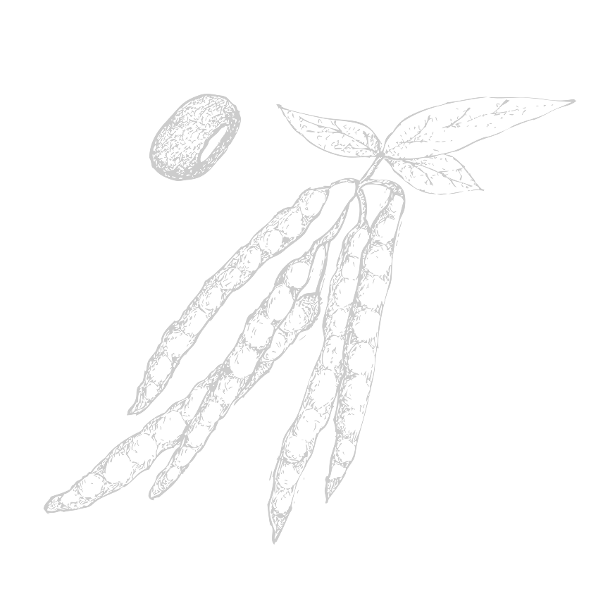 Basic Page Veg Two