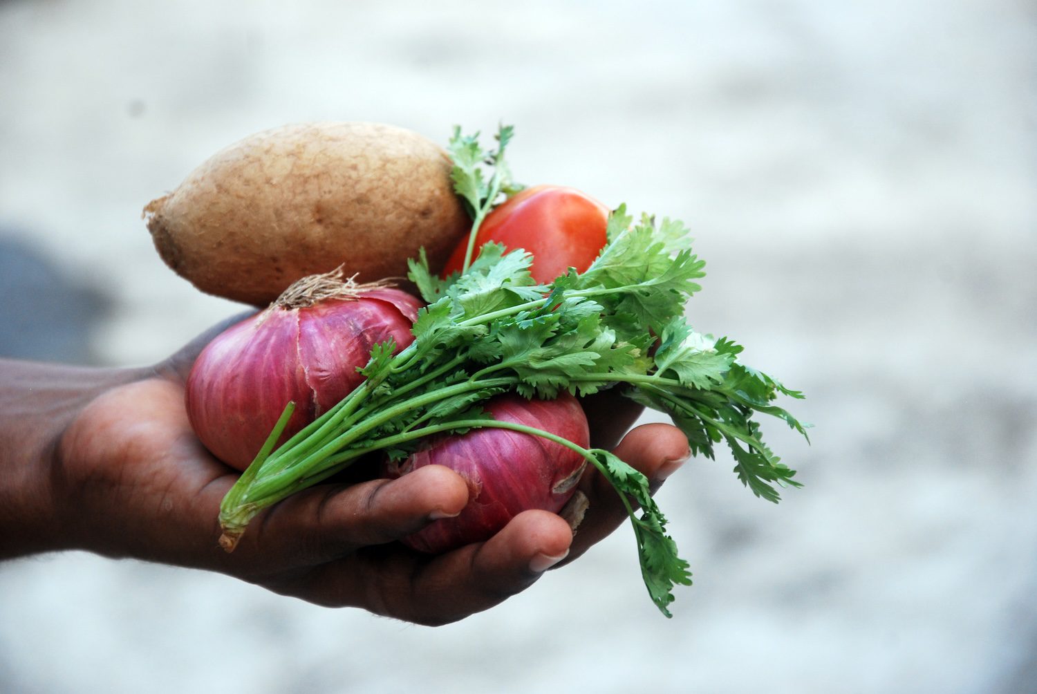 HEAL Platform for Real Food (English)