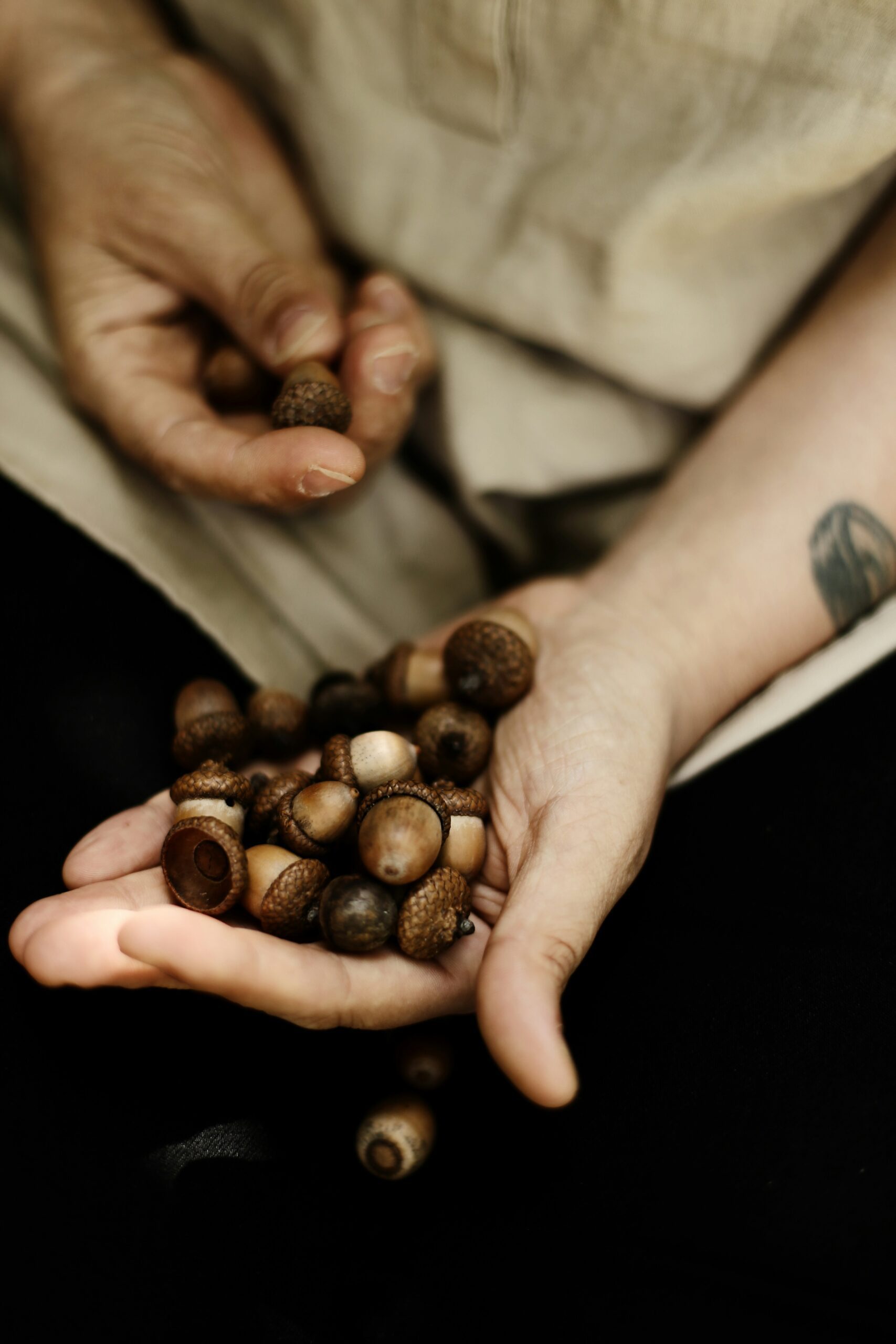 Real Food Rising: HEAL’s 2018 Year in Review