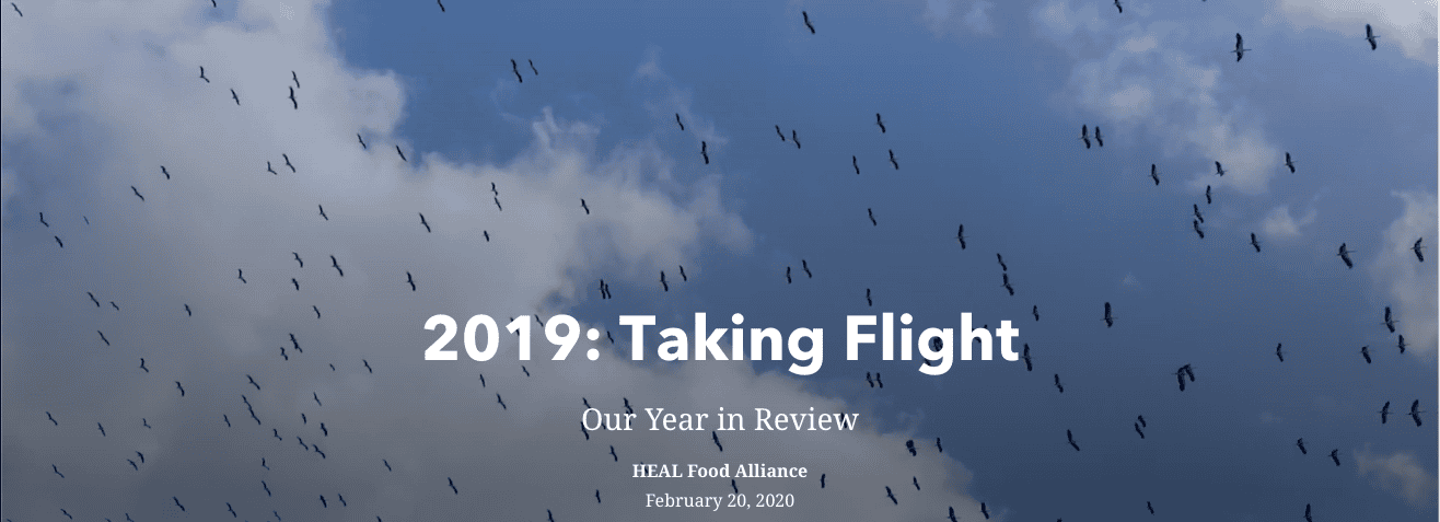 Taking Flight: HEAL’s 2019 Year in Review