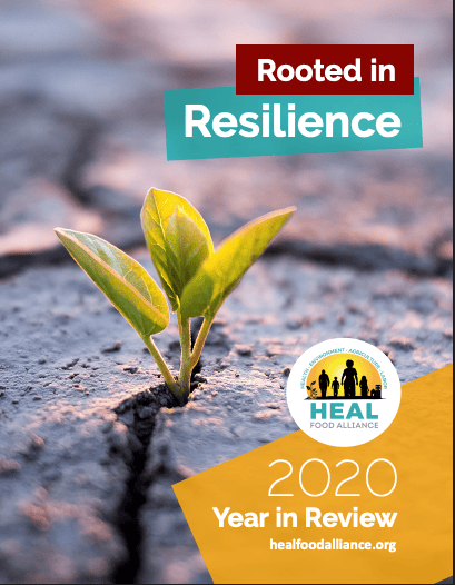 Rooted in Resilience: HEAL’s 2020 Year in Review