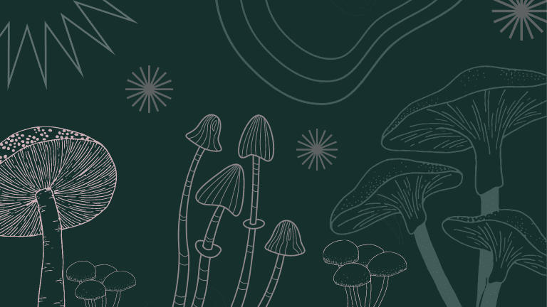 Various types of mushrooms growing against a dark green background