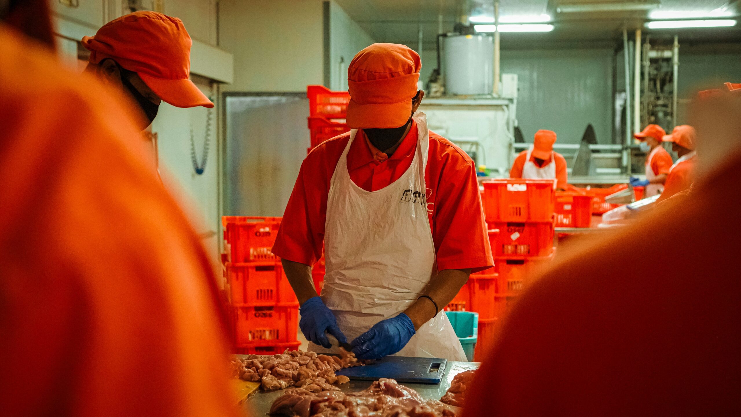 PAMWA: Protecting America’s Meatpacking Workers Act  (2023)