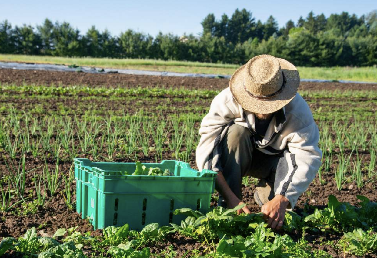 Why the CFPB Matters for Farmers and Rural Communities (2025)