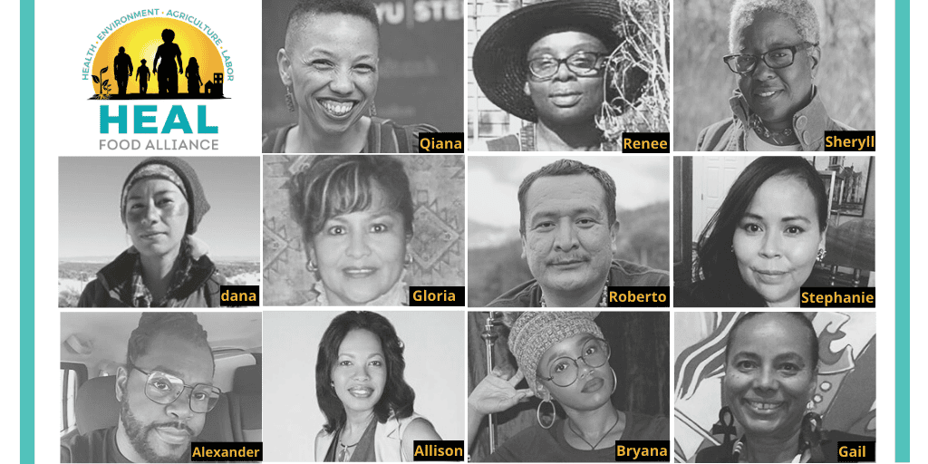 2019 Cohort