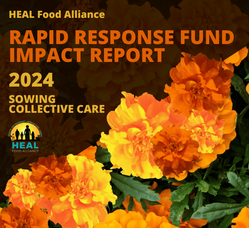 2024 Rapid Response Fund Impact Report