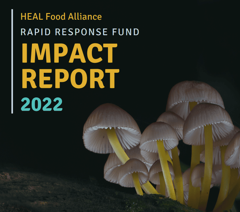 2022 Rapid Response Fund Impact Report