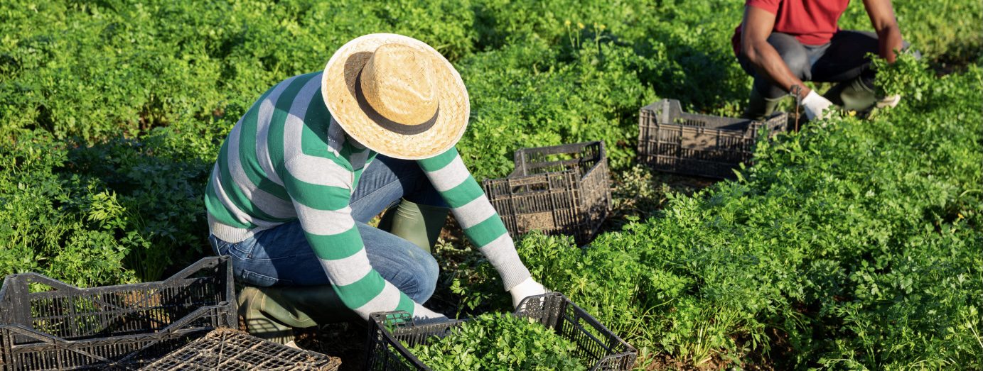 Protecting Workers from Heat